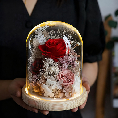 Preserved Flower Dome with LED